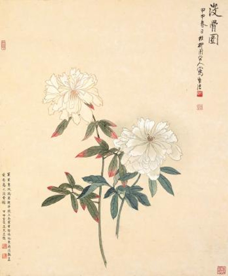 Peony by Xie Zhiliu