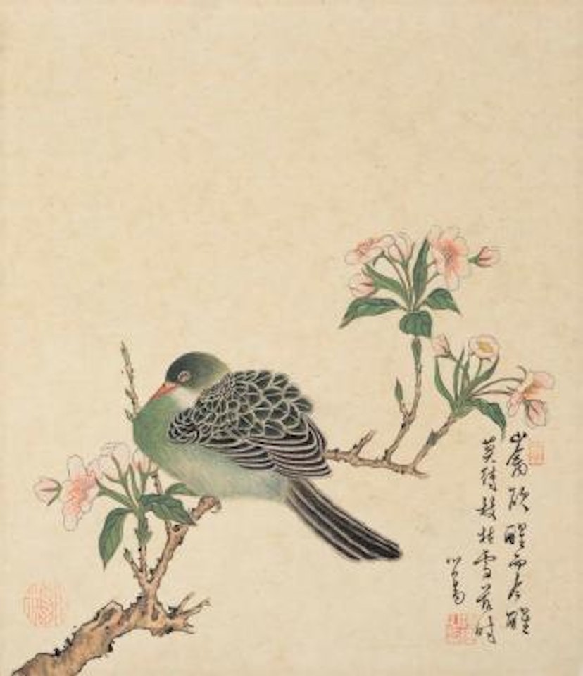 Turtledove On Pear Branch by Pu Ru