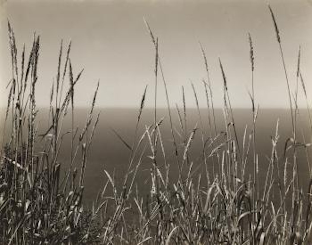 Grass Against Sea, Big Sur by Edward Weston