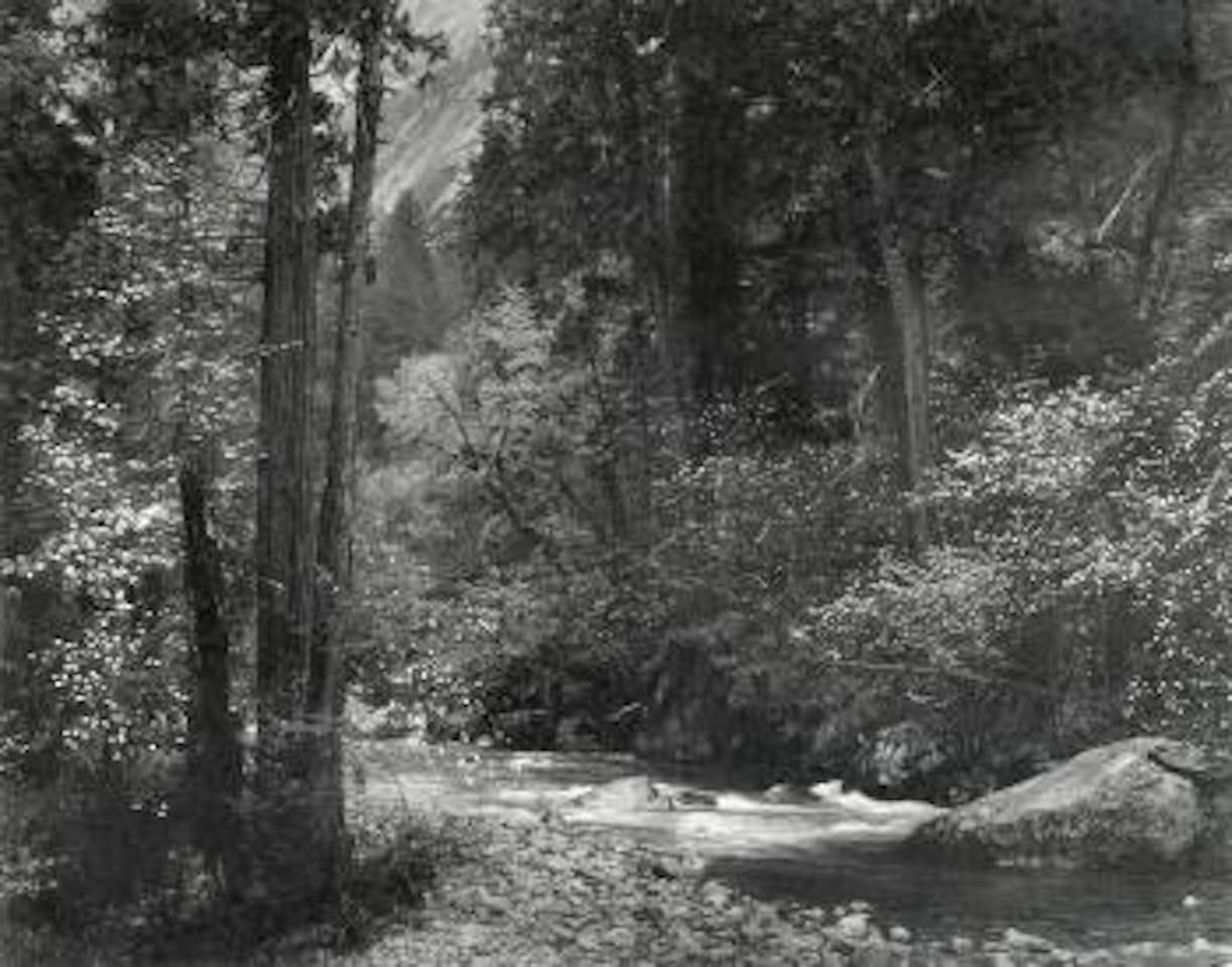 Tenaya Creek, Spring Rain by Ansel Adams