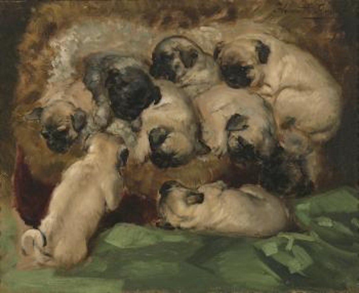 A litter of pugs by Henriette Ronner-Knip
