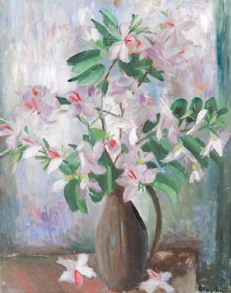 Pink Bauhinea by Margaret Hannah Olley