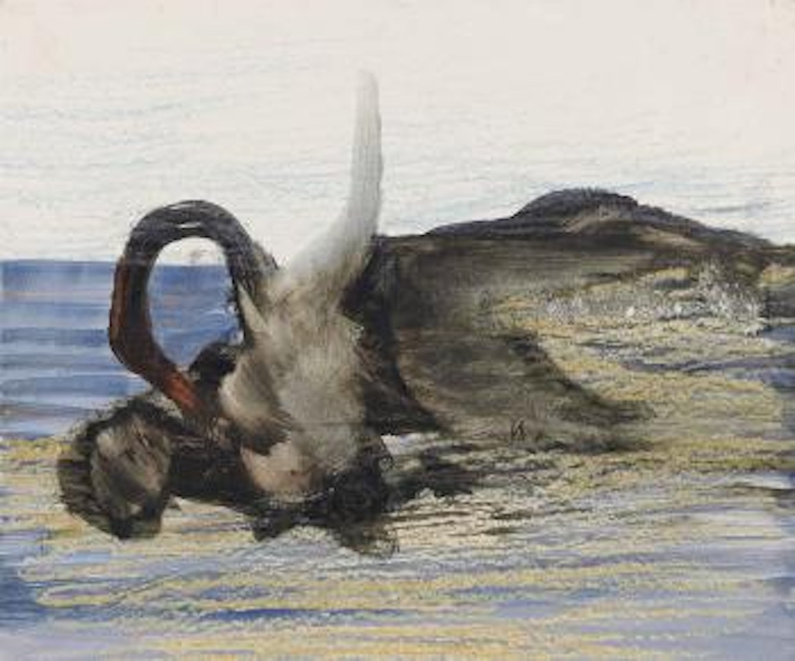 Leda and the swan by Sidney Nolan