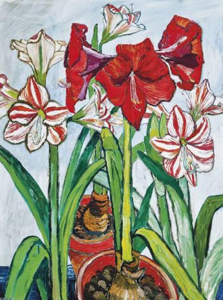 Amaryllis by John Bratby