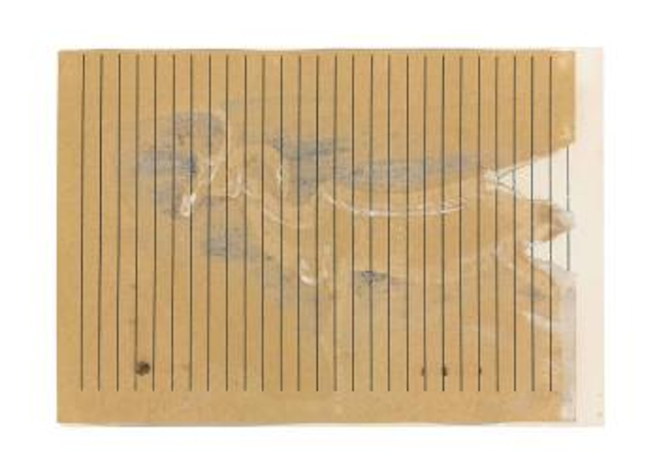 Ziege (Goat) by Joseph Beuys
