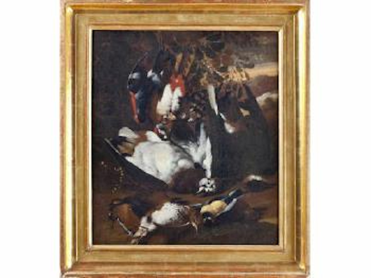Trophées de chasse aux oiseaux by Franz Werner von Tamm