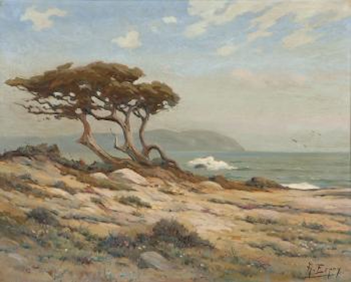 Cypress coastline by Angel Espoy