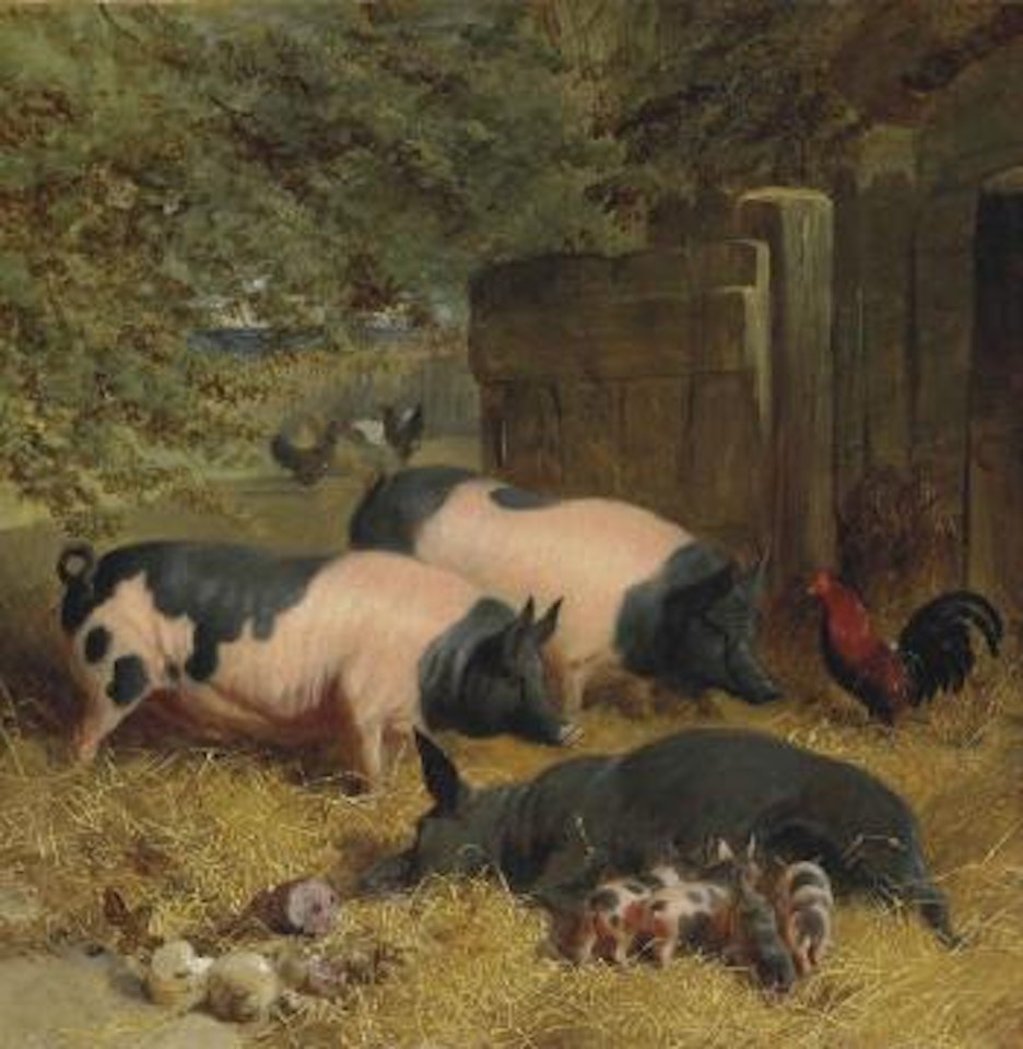 Berkshire Saddlebacks and Chickens in a Straw-bedded Yard by John Frederick Herring