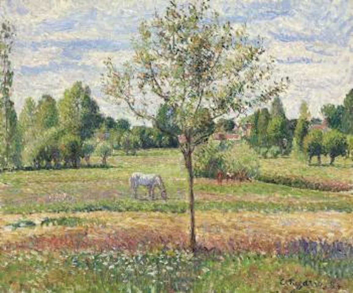 Le pré avec cheval gris, Eragny by Camille Pissarro