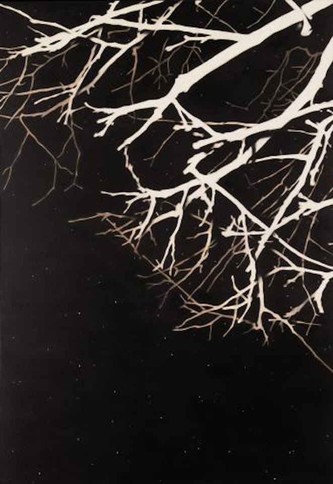Illuminated nocturne by Andrew Browne