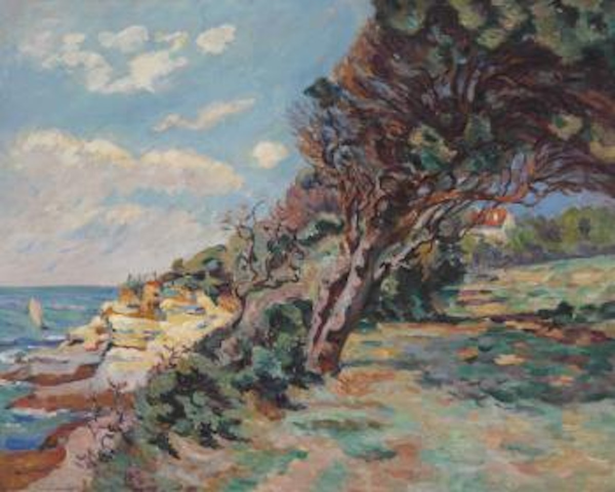 Côte méditerranéenne by Armand Guillaumin