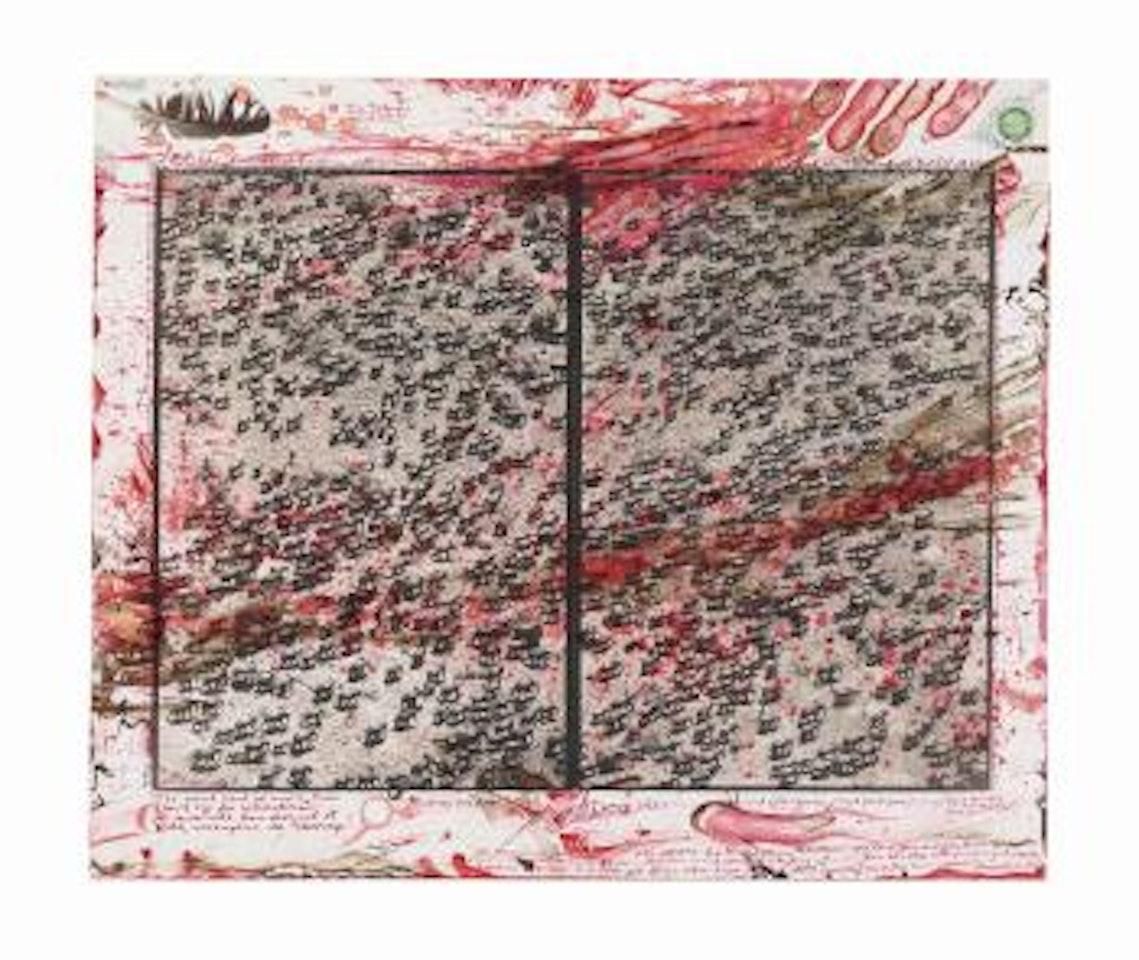Nor dread nor hope attend, Starvo by Peter Beard