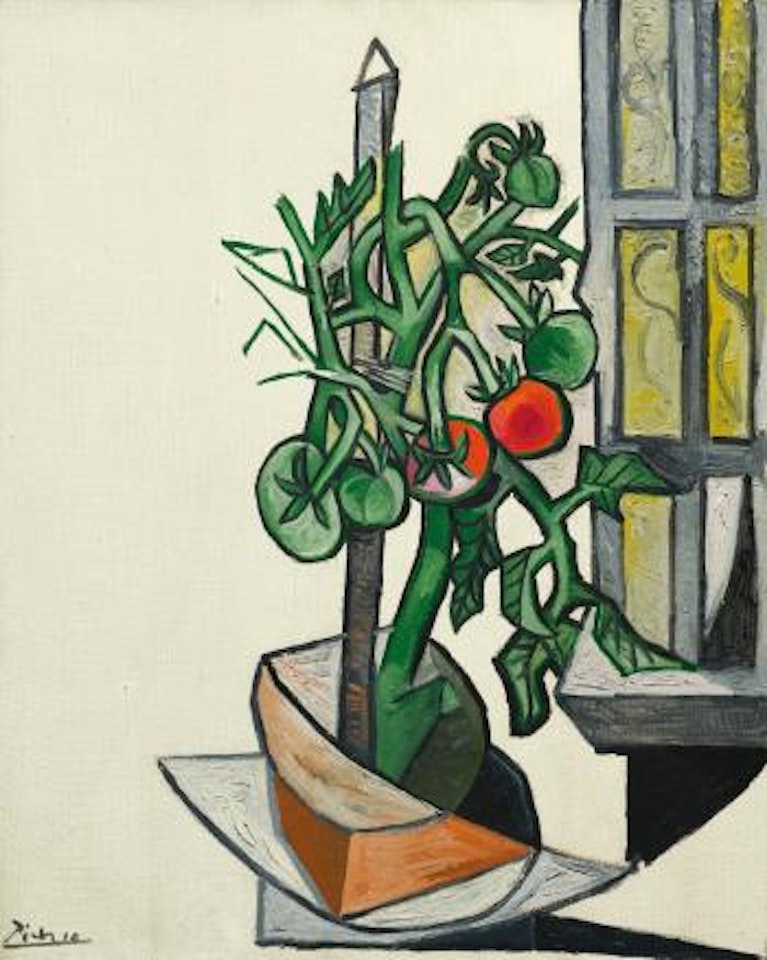 Plant De Tomate by Pablo Picasso