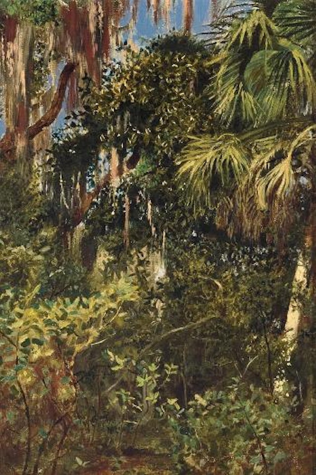 Florida Everglades by Edwin Lord Weeks