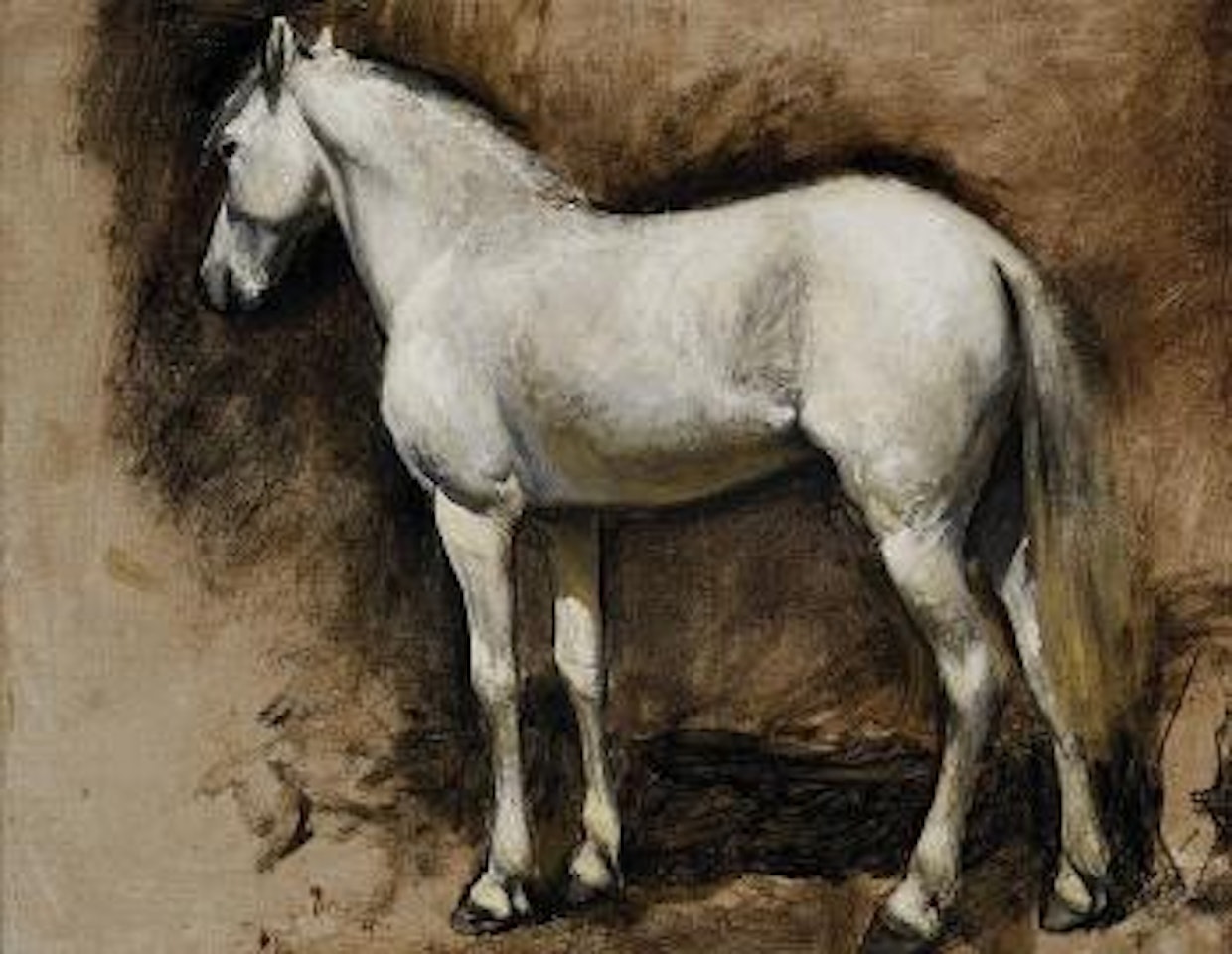 Study of an Arabian White Stallion (Formerly Study of a White Horse) by Edwin Lord Weeks