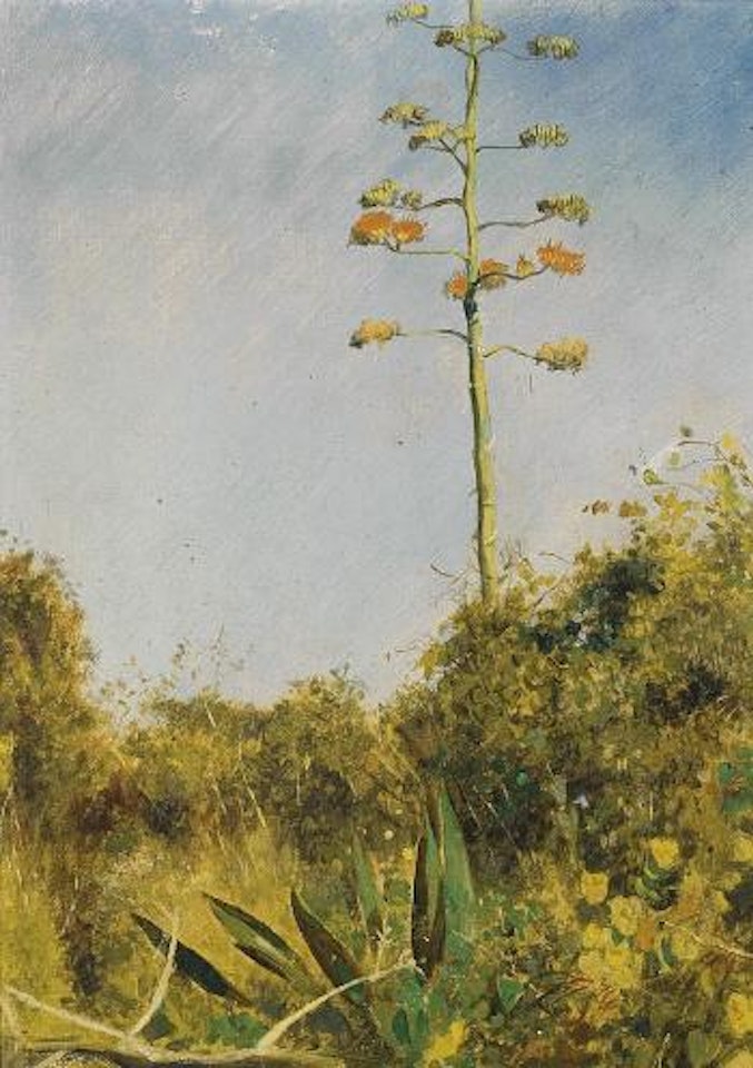 Flowering Agave, Florida by Edwin Lord Weeks