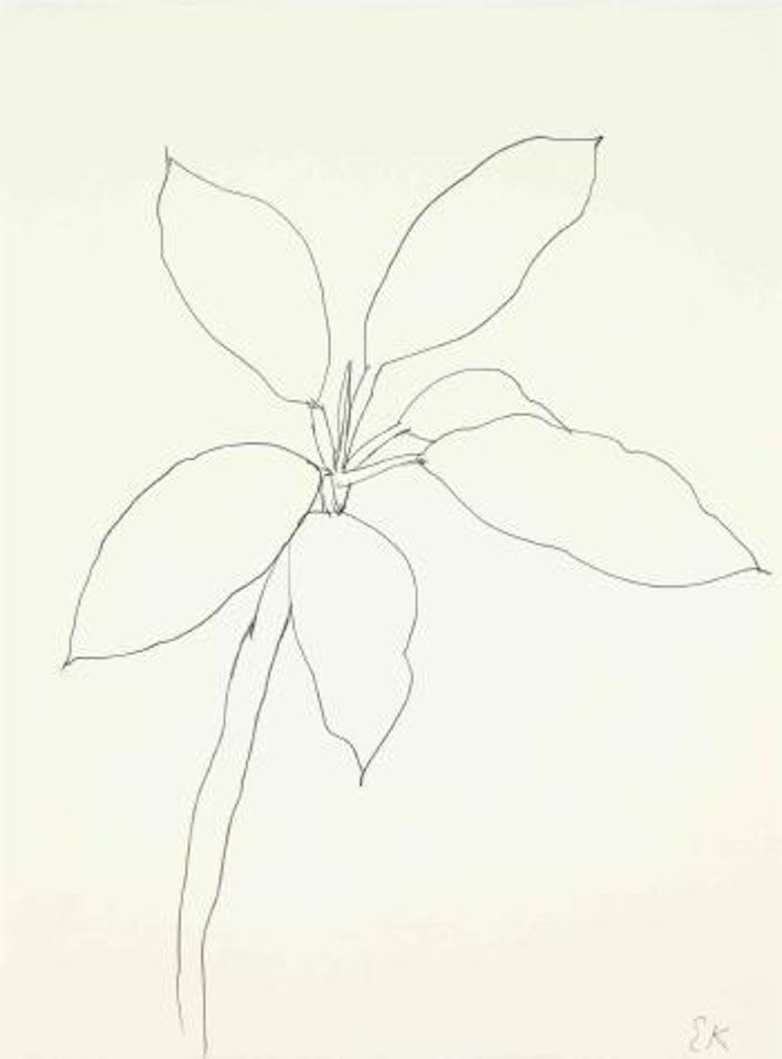 Tropical Plant, St. Martin by Ellsworth Kelly