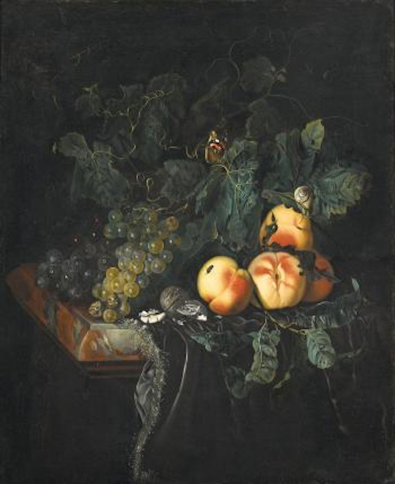 Stillleben mit Trauben, Pfirsichen, Walnüssen und Insekten. by Willem van Aelst