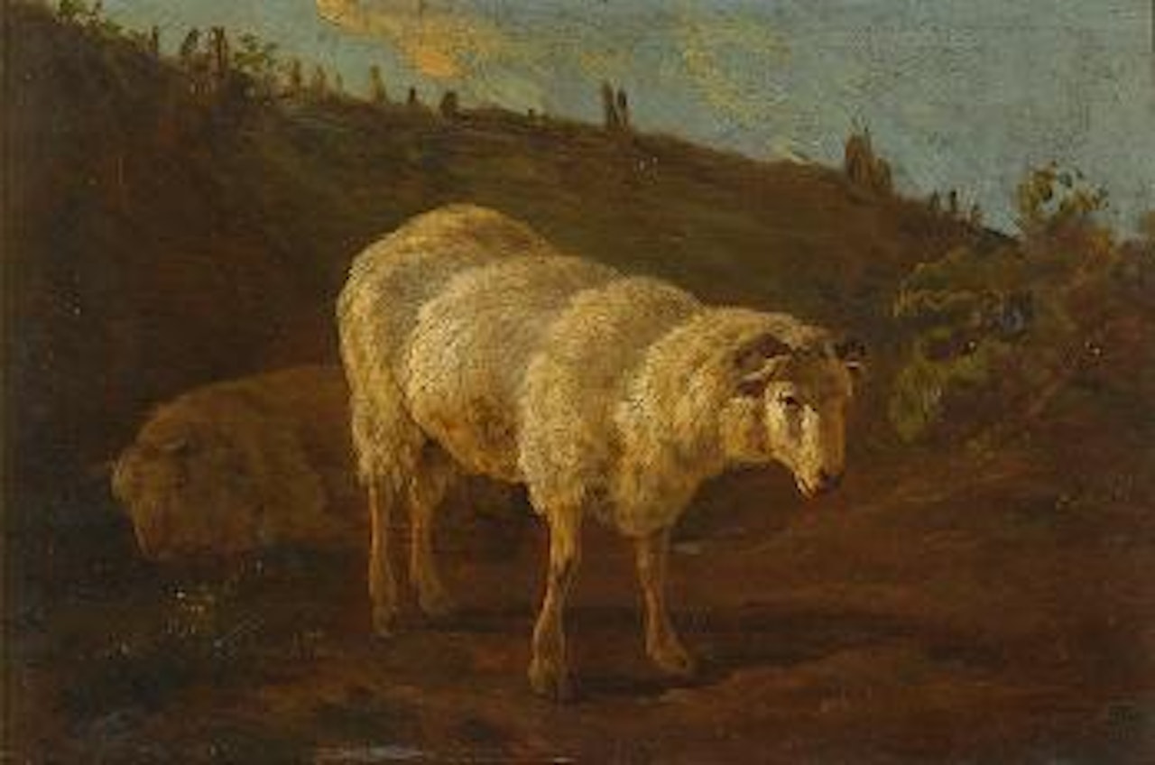Sheep. by Eugène Joseph Verboeckhoven
