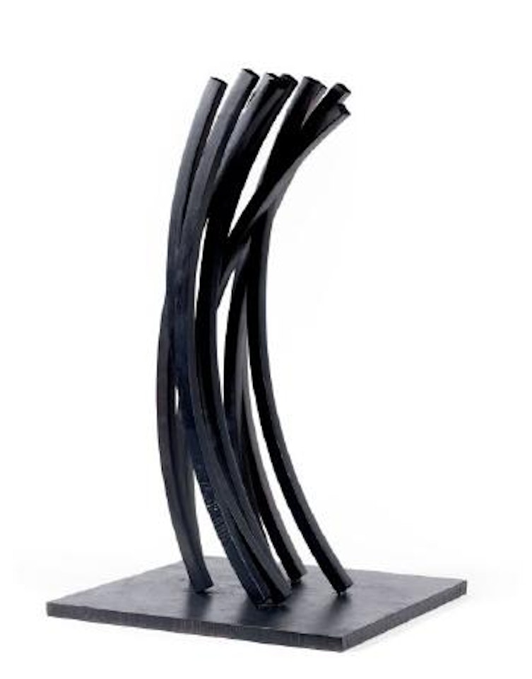 74,5° arc by Bernar Venet