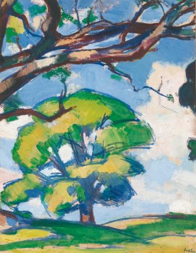 Trees, Douglas Hall by Samuel John Peploe