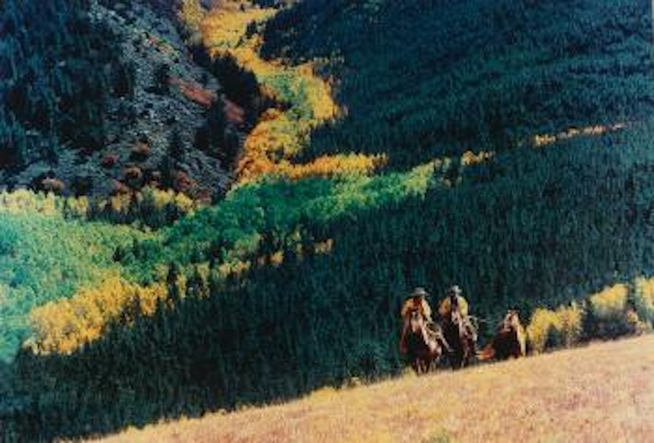 Untitled (Cowboy) by Richard Prince