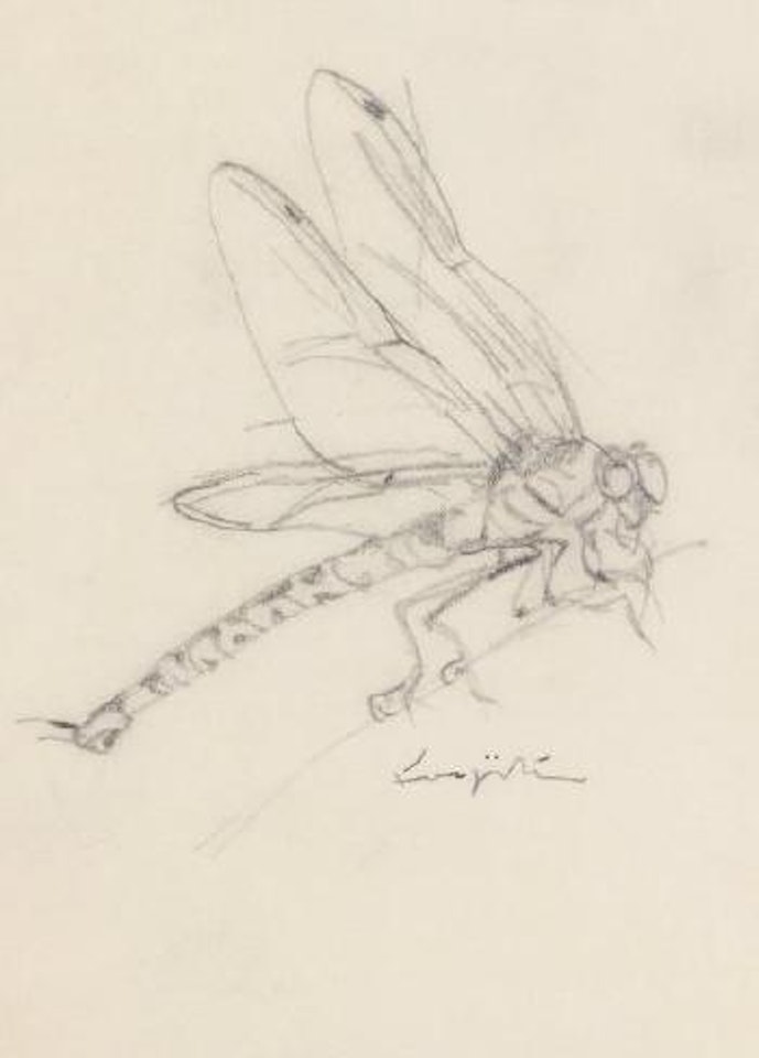 Libellule by Leonard Tsuguharu Foujita