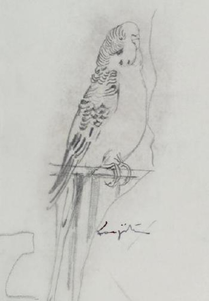 Perroquet perché by Leonard Tsuguharu Foujita