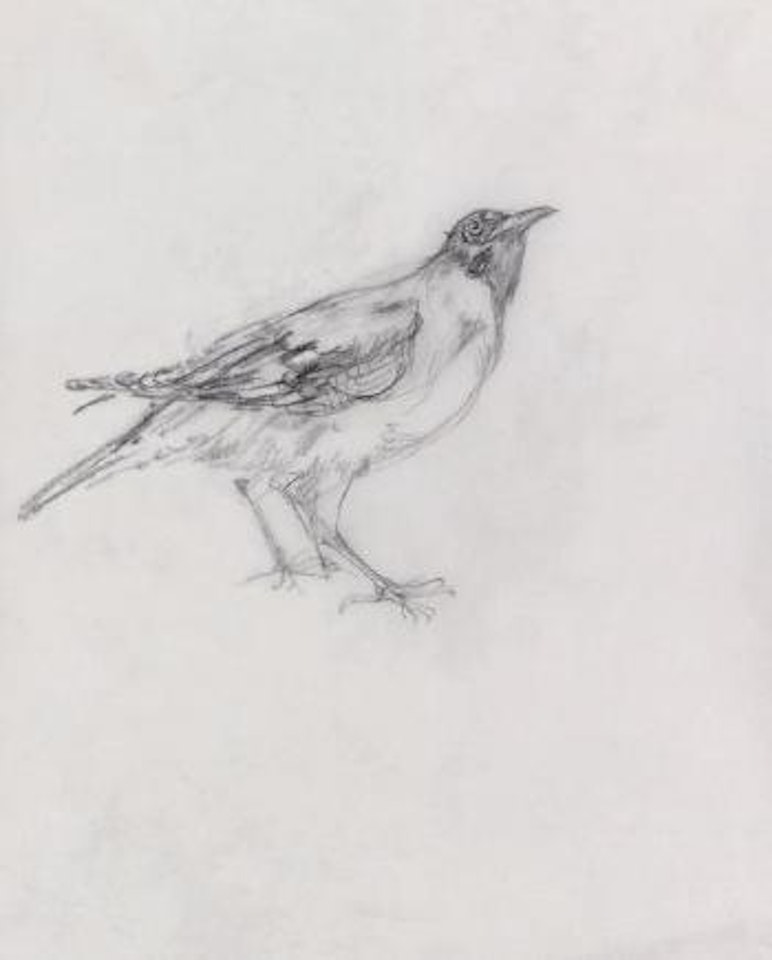 Oiseau sur sa branche by Leonard Tsuguharu Foujita