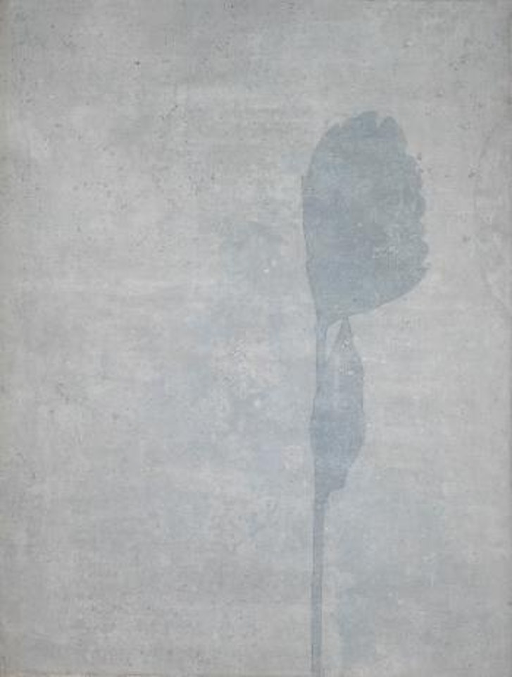 Flower Study by Prunella Clough