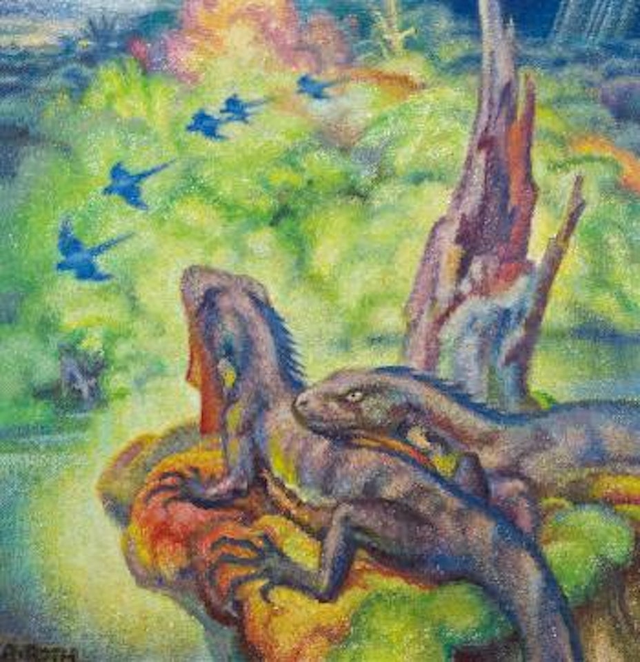 Leguane auf den Galapagos-Inseln by Norbertine Bresslern-Roth
