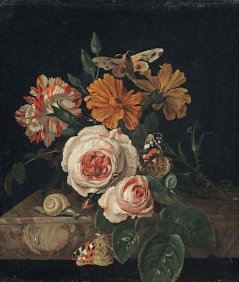Pink peony roses, a carnation and daisies with a dragonfly, two butterflies, a moth and a snail, all on a marble ledge by Willem van Aelst