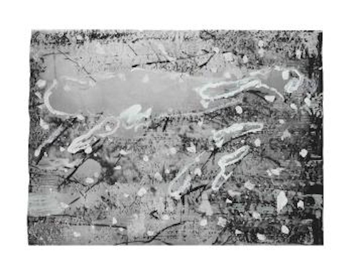 Brünhilde Schlaft by Anselm Kiefer