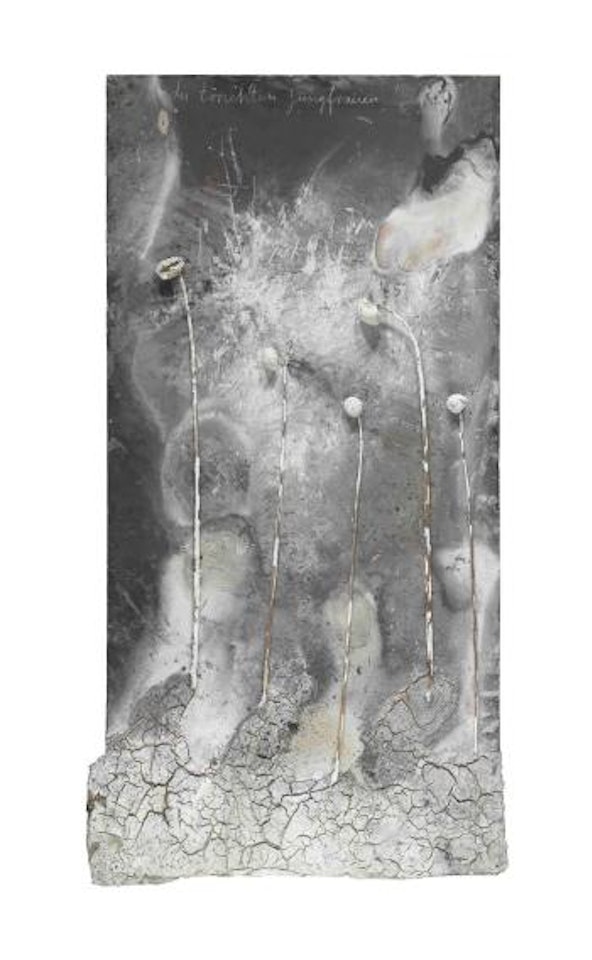Die Törichten Jungfrauen by Anselm Kiefer