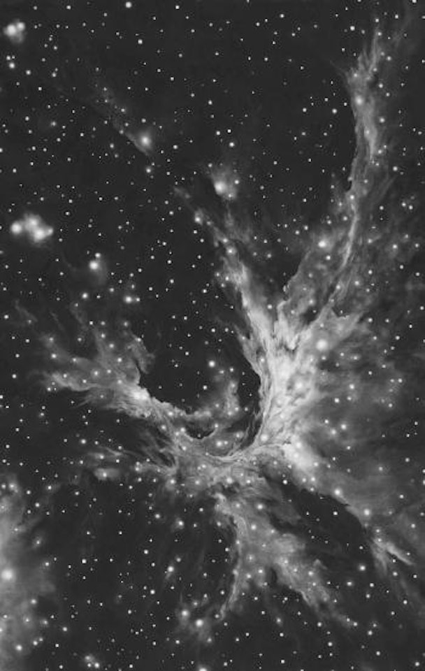 Untitled (Wing Nebula) by Robert Longo