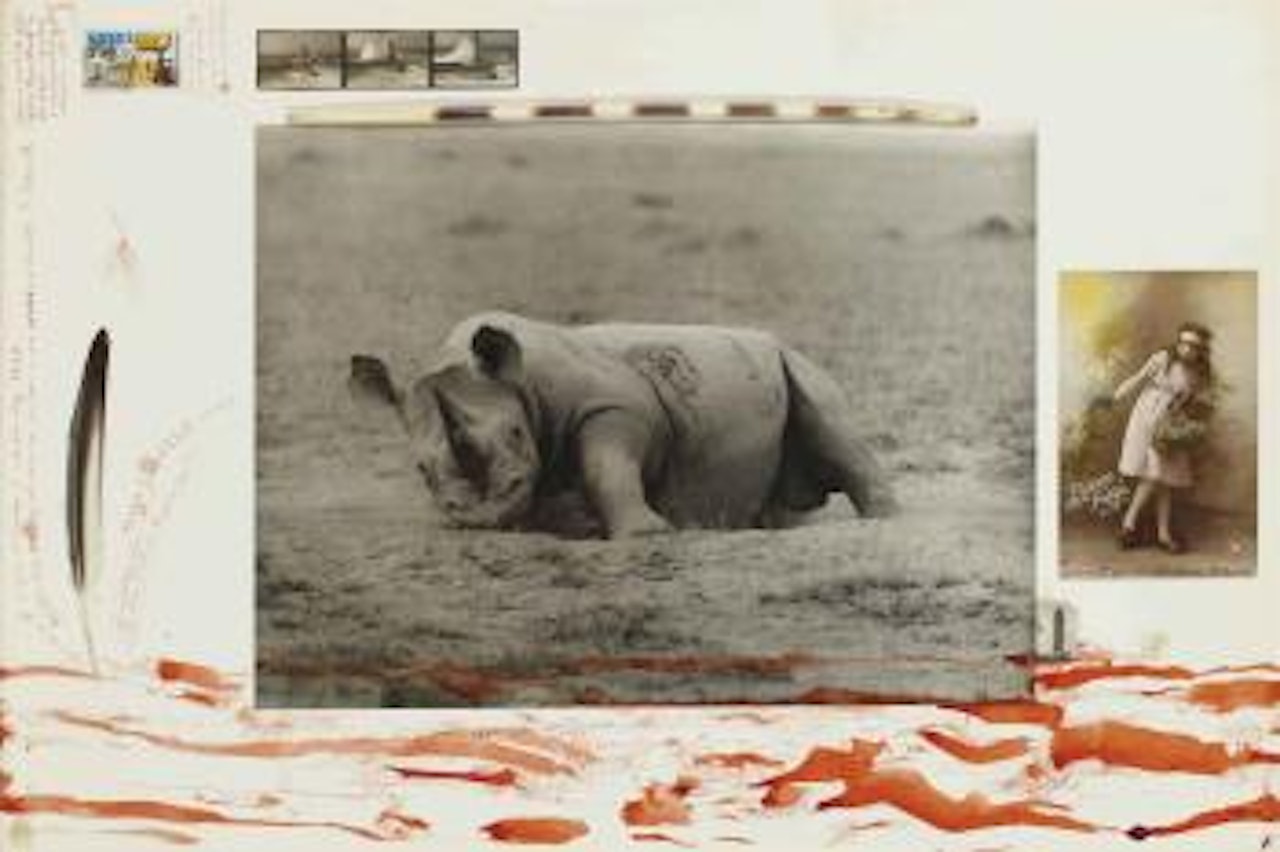 Rhinoceros by Peter Beard
