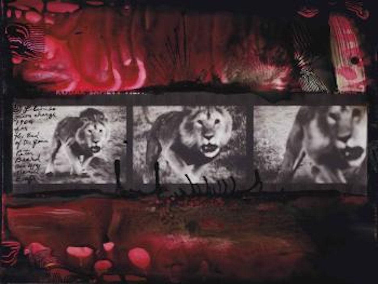 Loliondo, Lion charge by Peter Beard