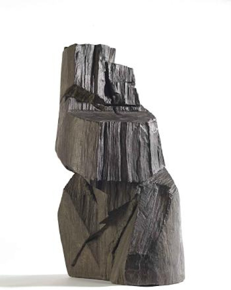 Taichi Series: Stance by Ju Ming