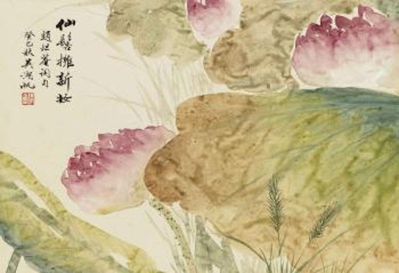 Lotus by Wu Hufan