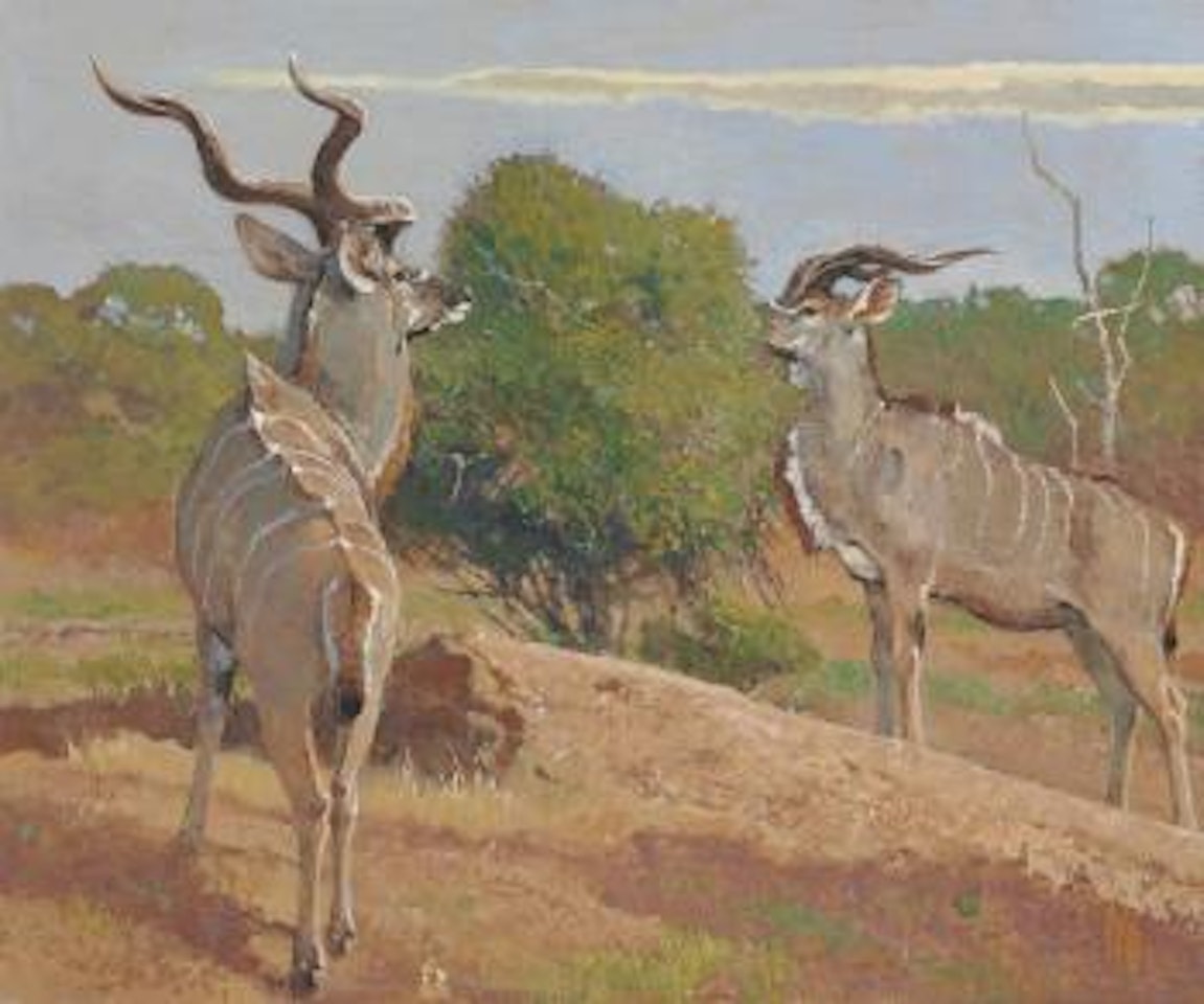 Grey Ghosts of Sauuti by Bob Kuhn
