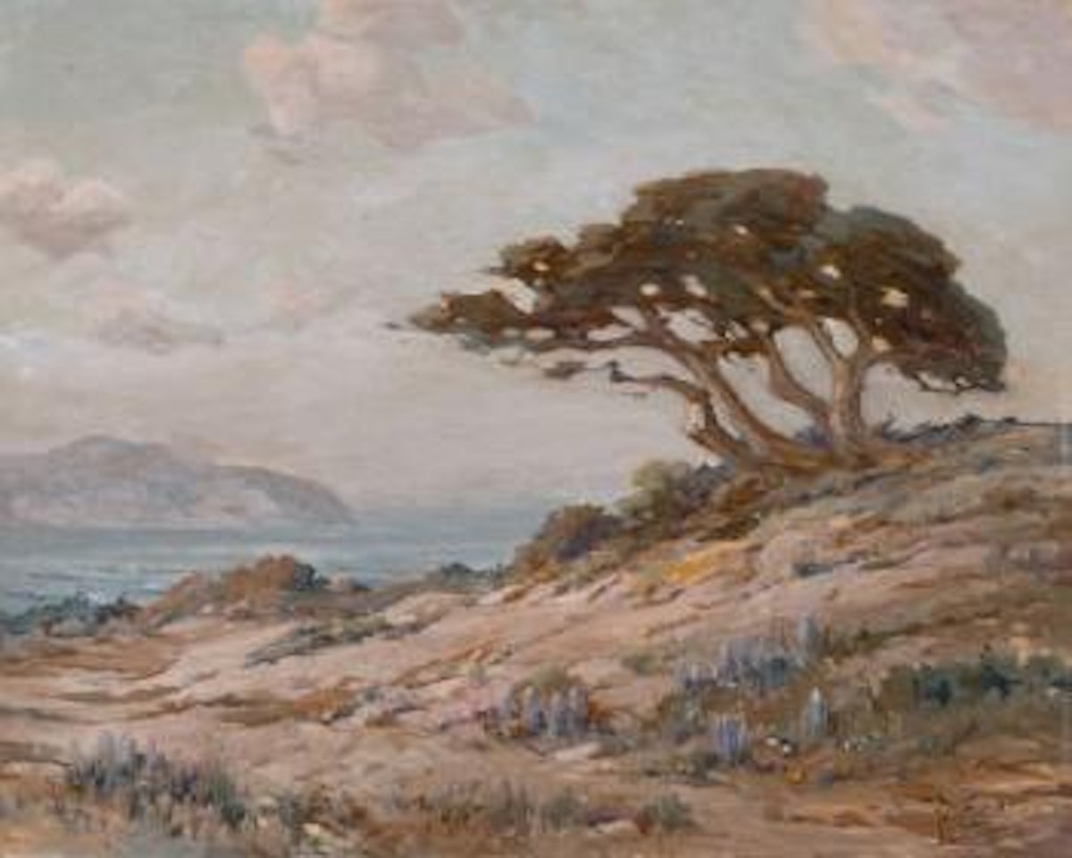 Cypress and sand dunes along the California coast by Angel Espoy