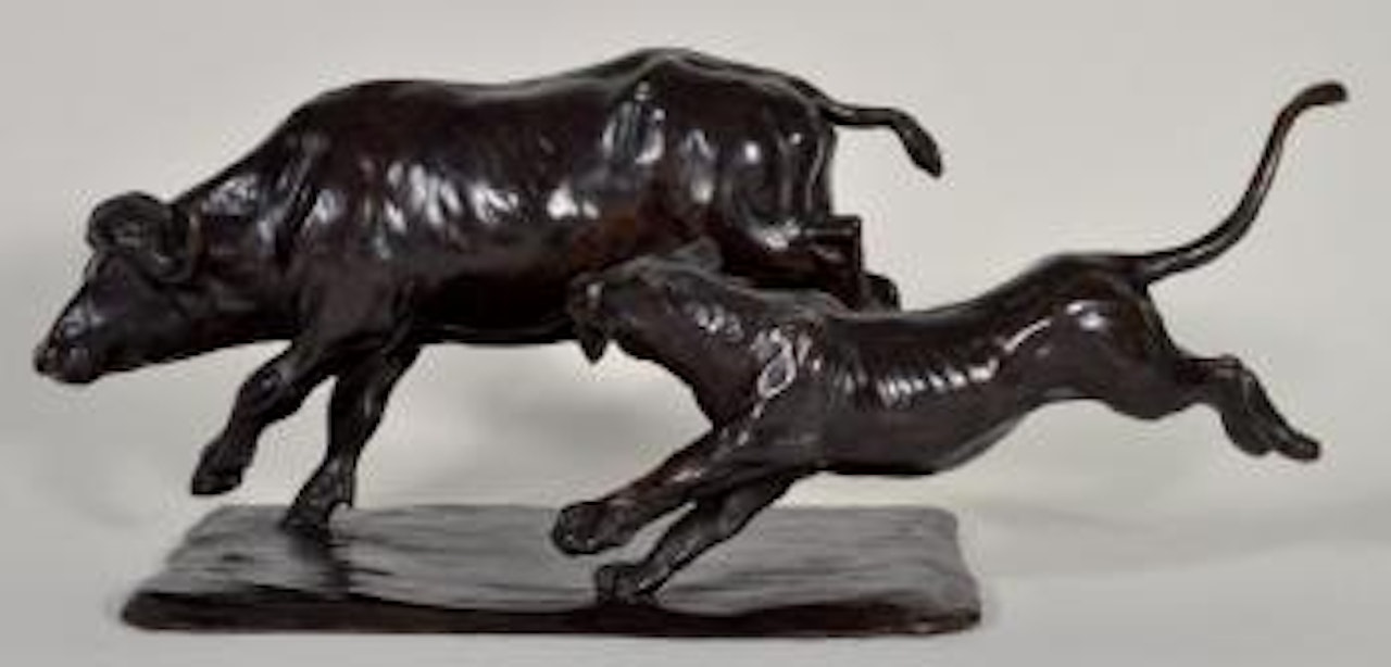 Buffle et lionne by Damien Colcombet