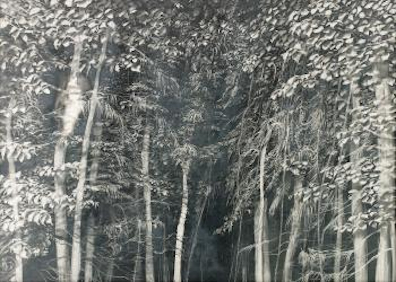 Utan titel by Roj Friberg