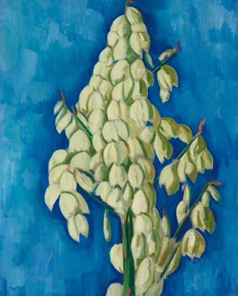 White Yucca by Marsden Hartley