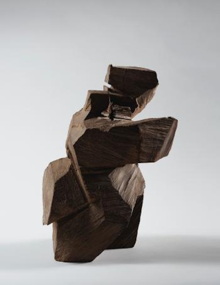 Taichi Series by Ju Ming