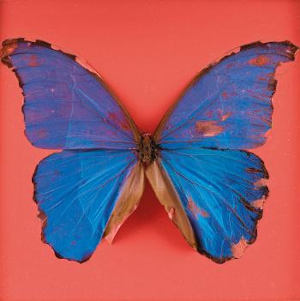Loving Look by Damien Hirst