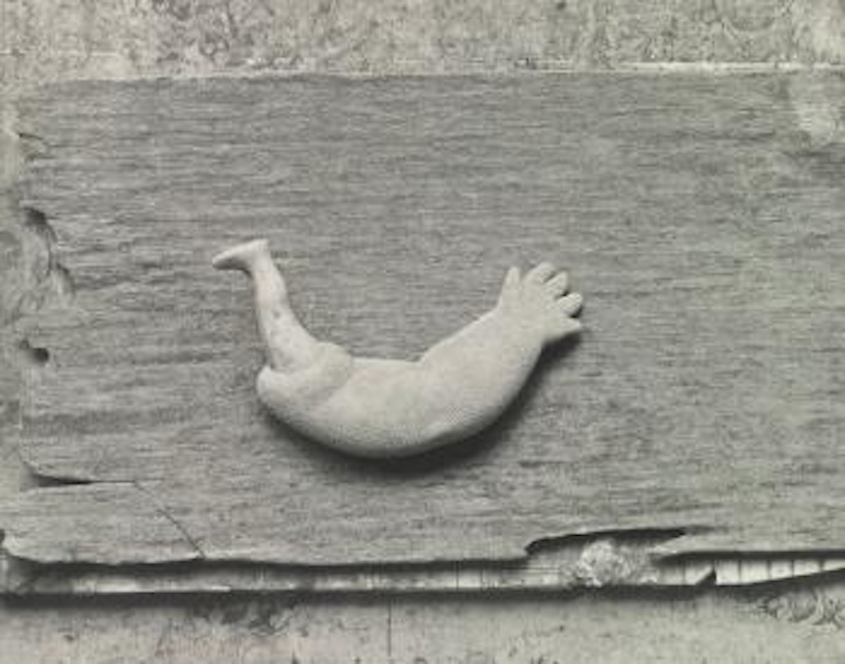 Ondine by Frederick Sommer