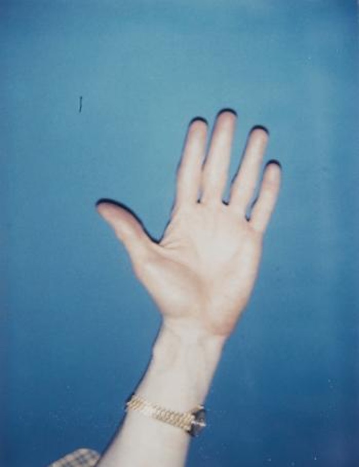 Self-portrait (Palm) by Andy Warhol