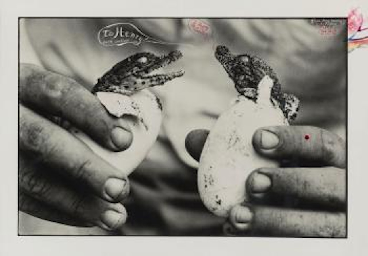 To Henry & Happy Easter (Mingled Destinies Of Crocodyles And Man, Moite Bay, Lake Rudolf) by Peter Beard