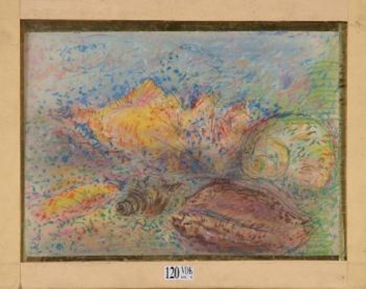 Étude de coquillages by Jean Dufy